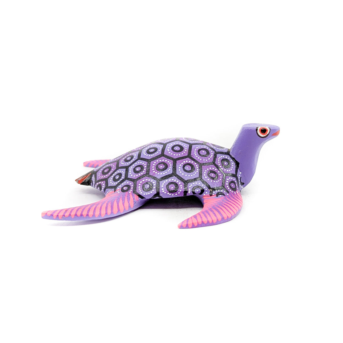 Pink and Purple Sea Turtle