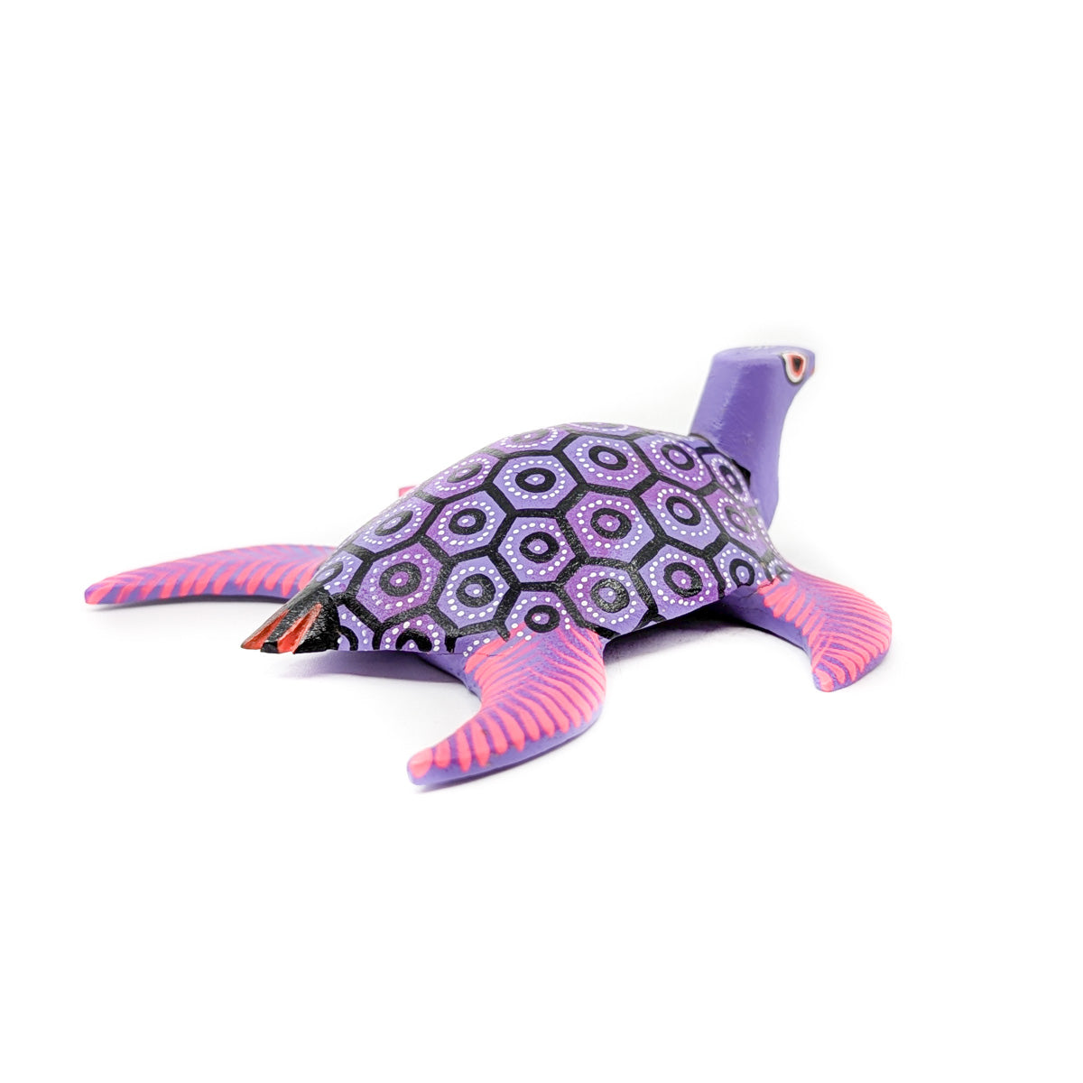 Pink and Purple Sea Turtle