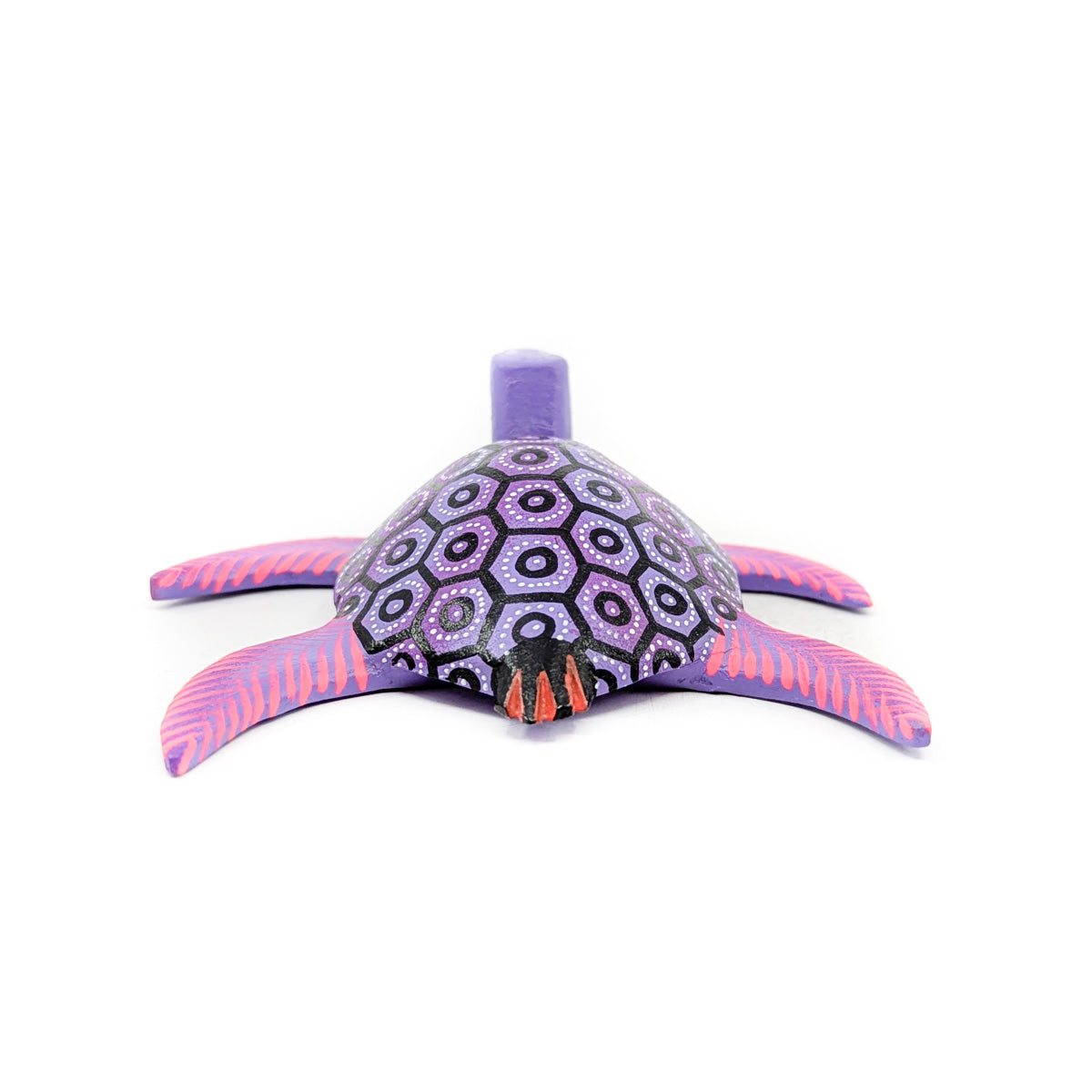 Pink and Purple Sea Turtle