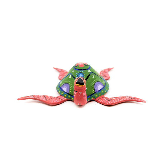 Green and Red Sea Turtle with Colorful Shell