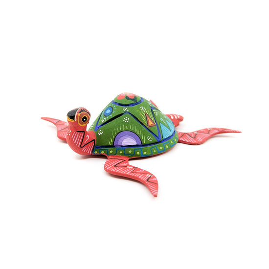 Green and Red Sea Turtle with Colorful Shell
