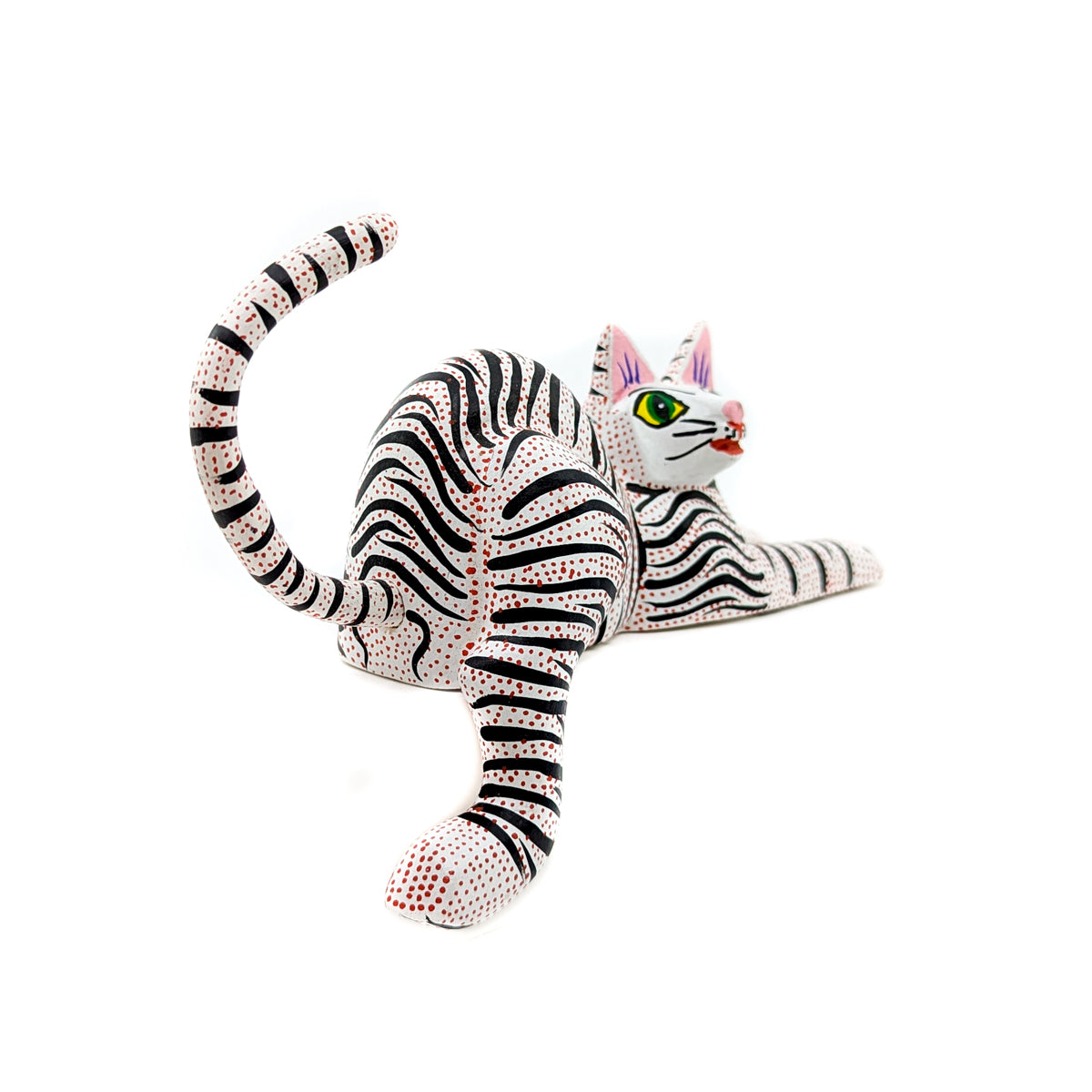 Black and White Striped Cat