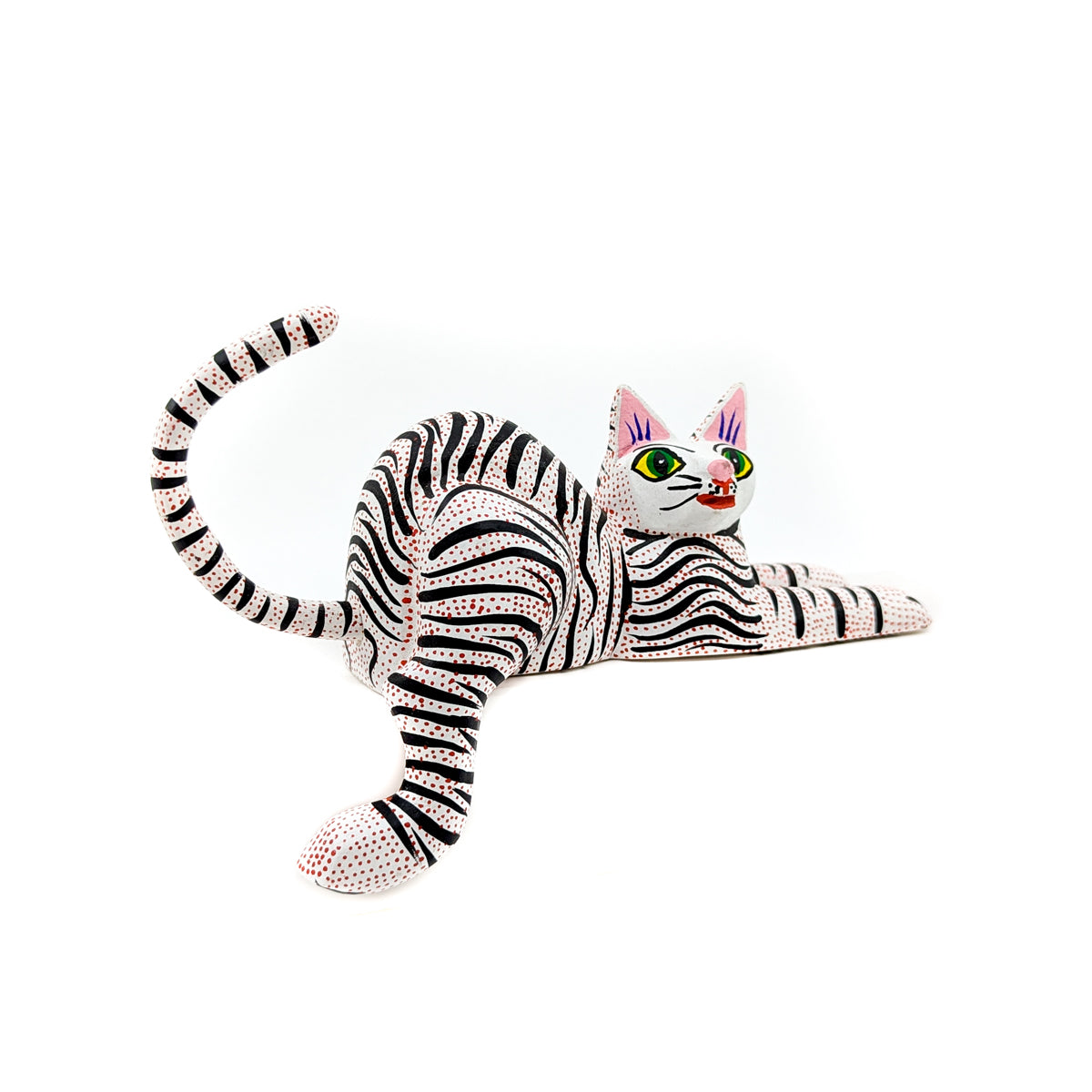 Black and White Striped Cat