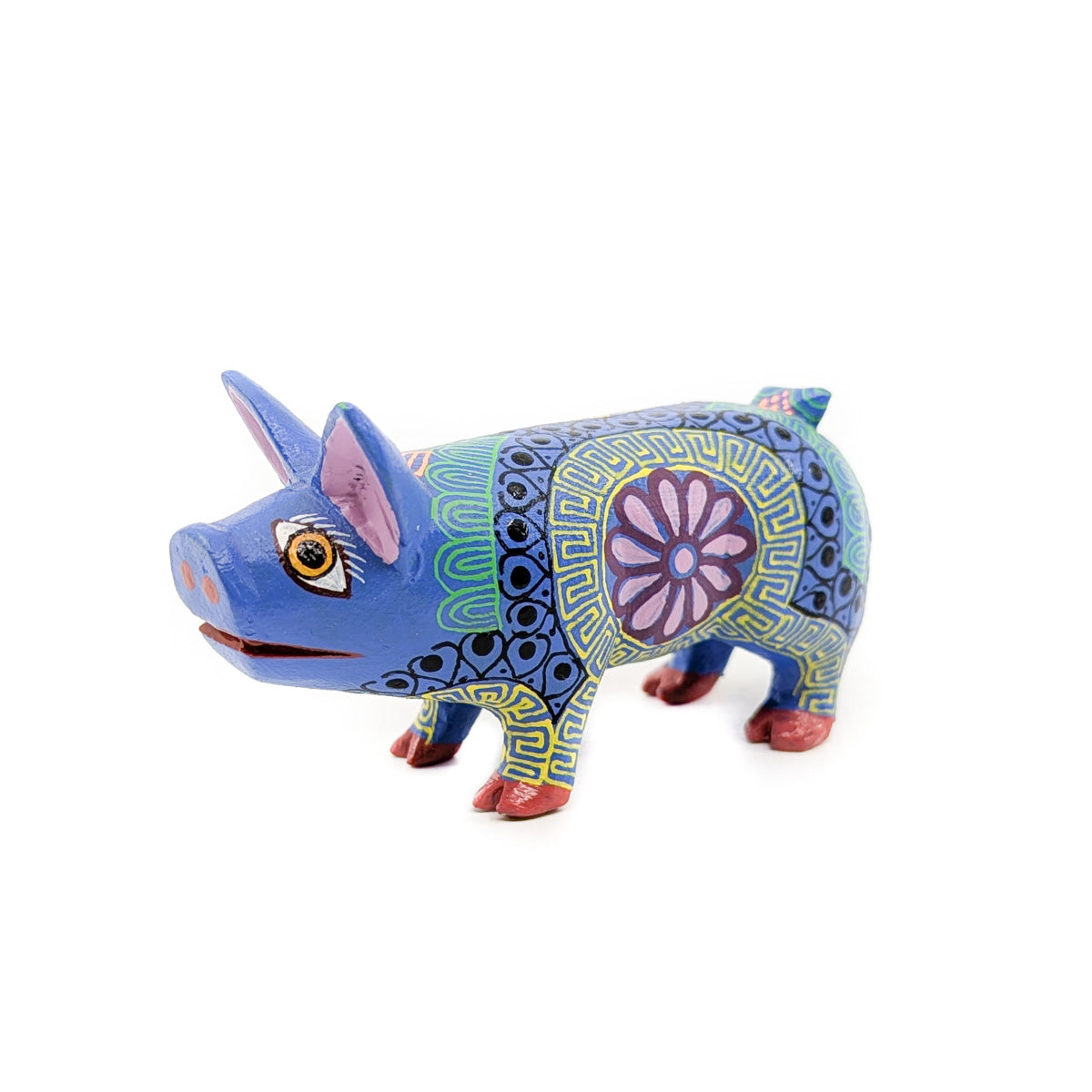 Dazzling Multicolored Little Pig
