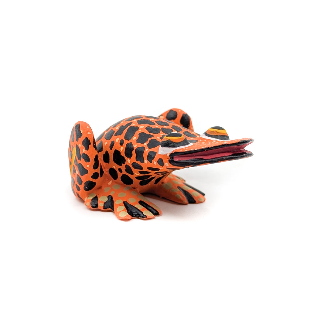 Orange Spotted Frog – Native-Seeds-Search