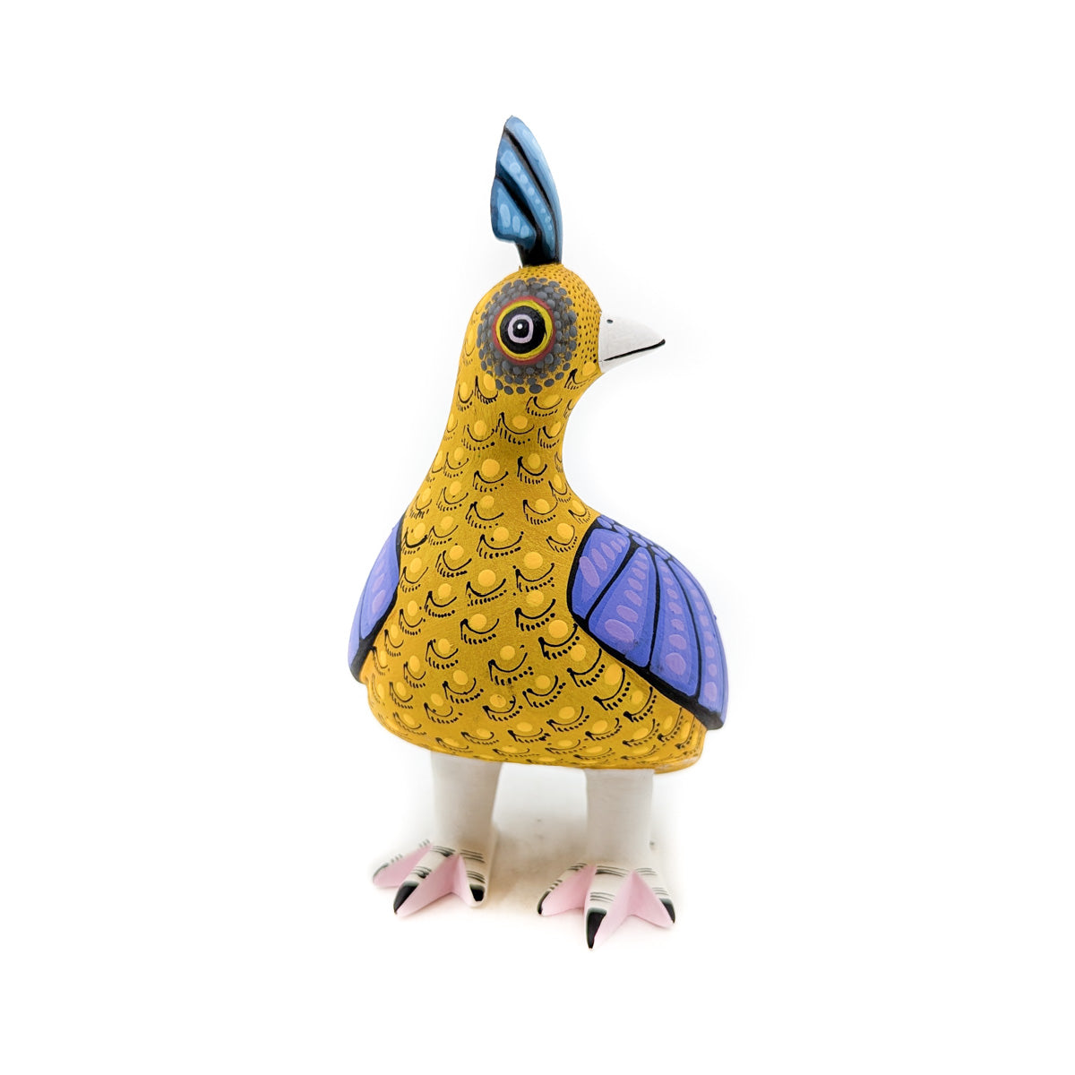 Golden Quail with Teal Tone Top Knot