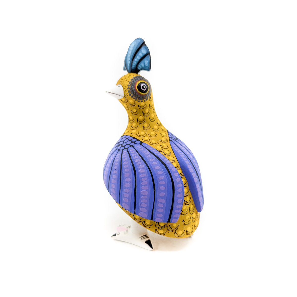 Golden Quail with Teal Tone Top Knot