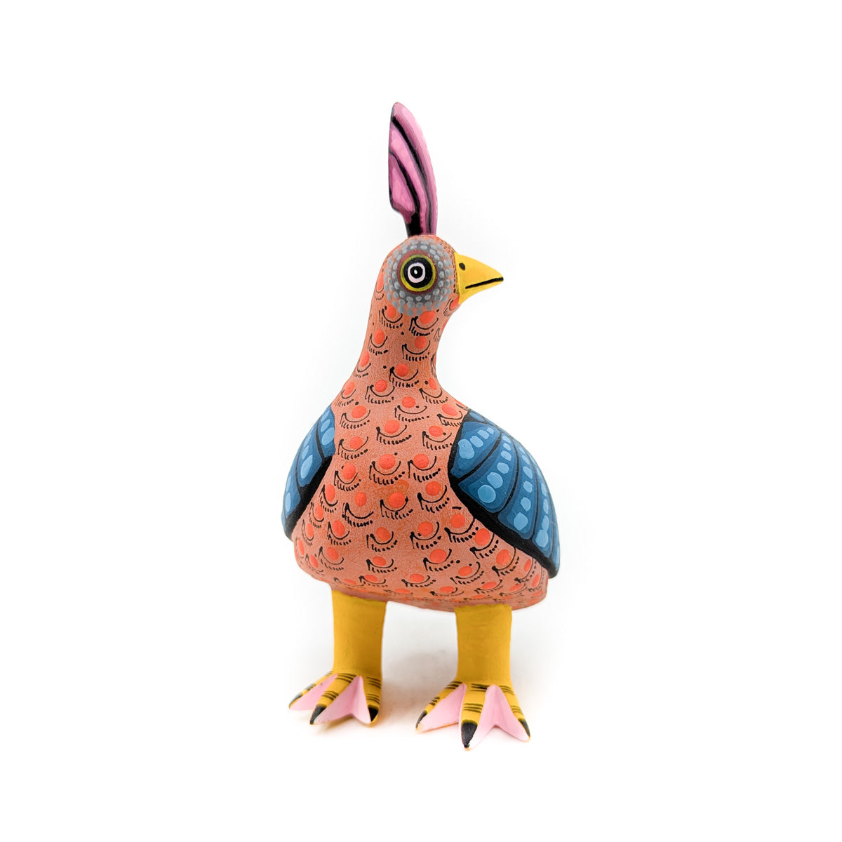 Patterned Quail with Pink Top Knot