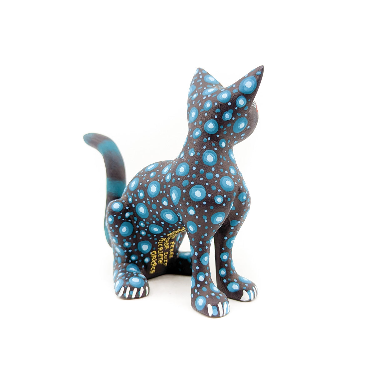 Midnight Cat