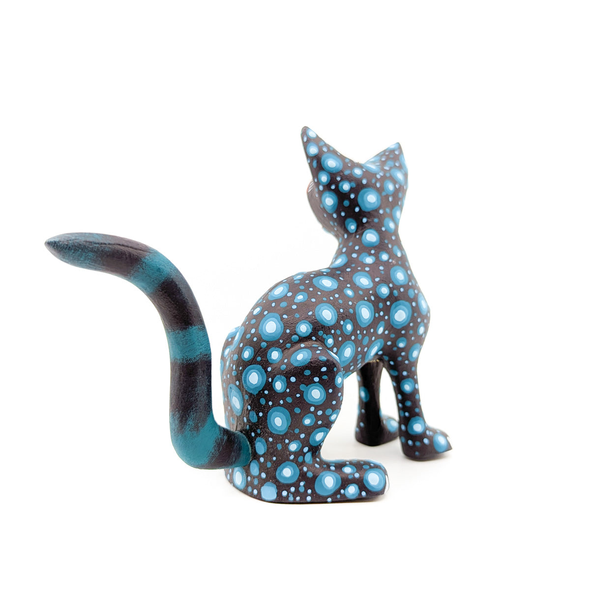 Midnight Cat