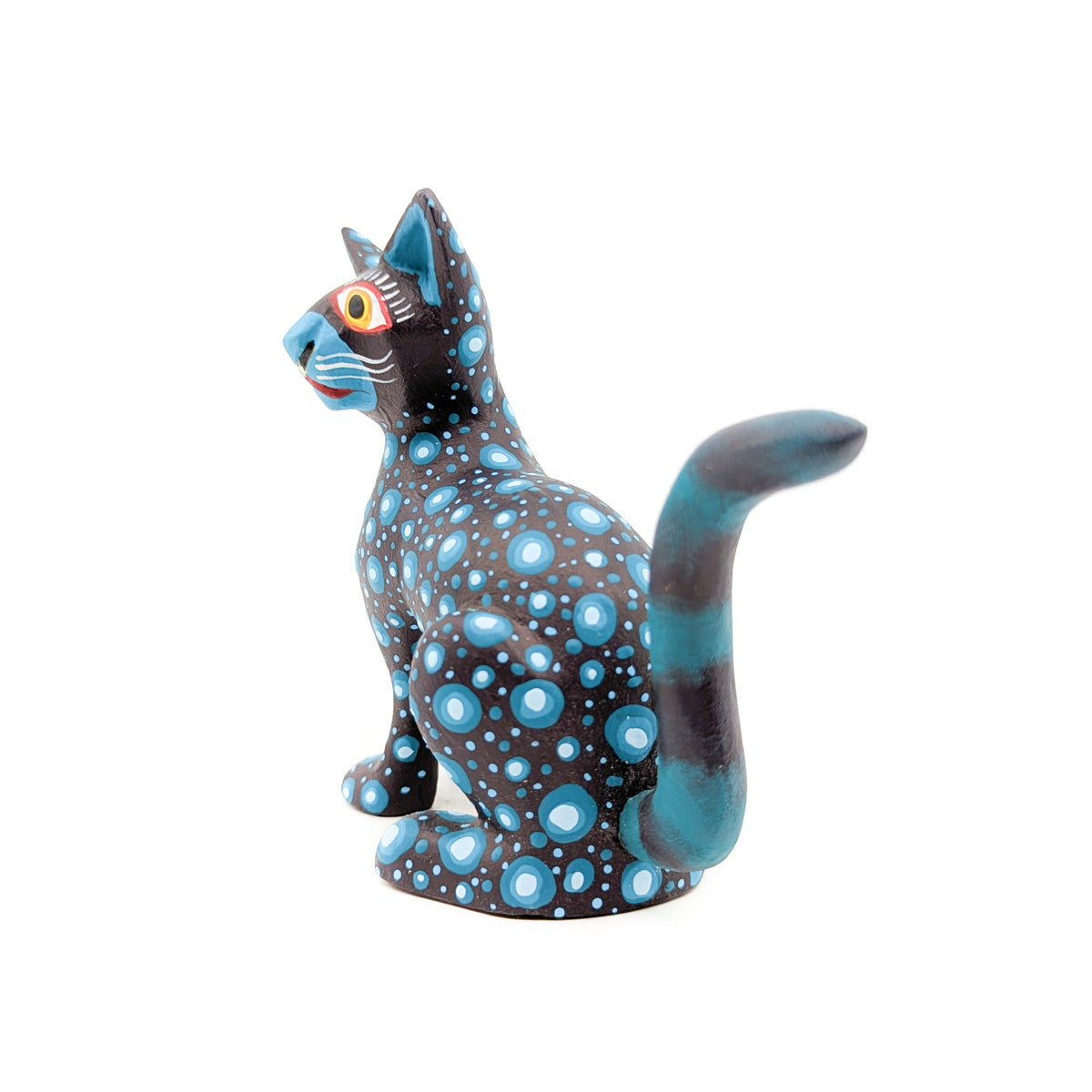Midnight Cat