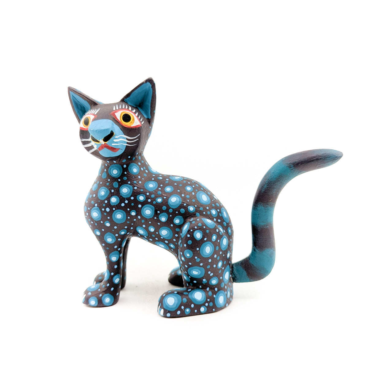 Midnight Cat