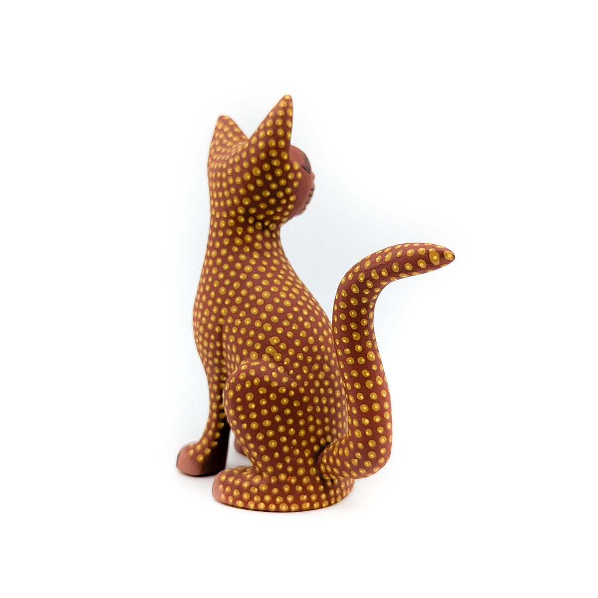 Golden Toned Cat