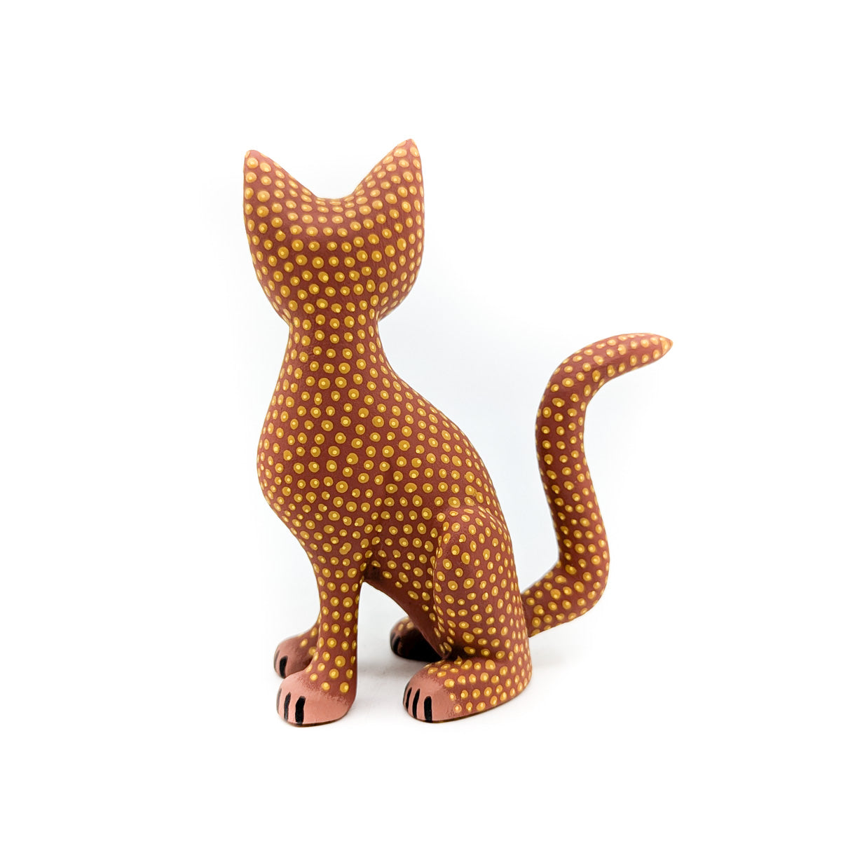 Golden Toned Cat