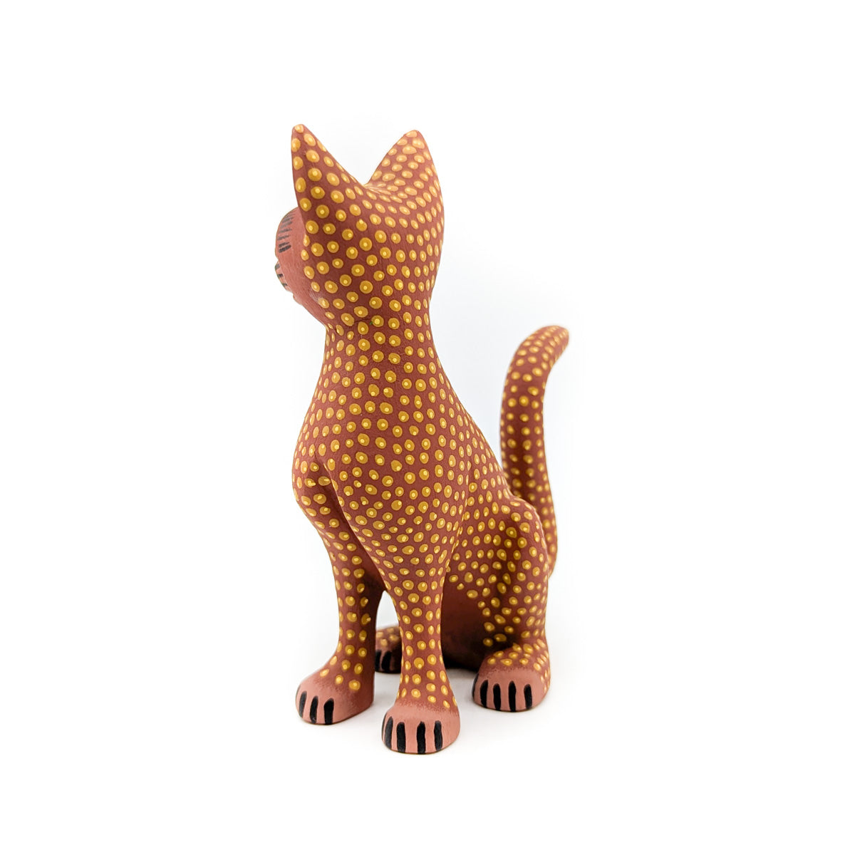 Golden Toned Cat