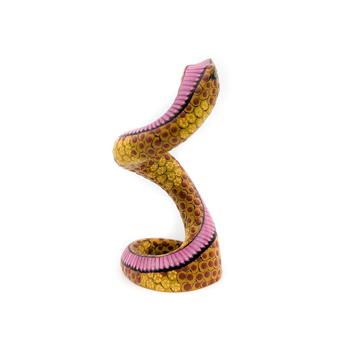 Golden Rattlesnake with Pink Accent