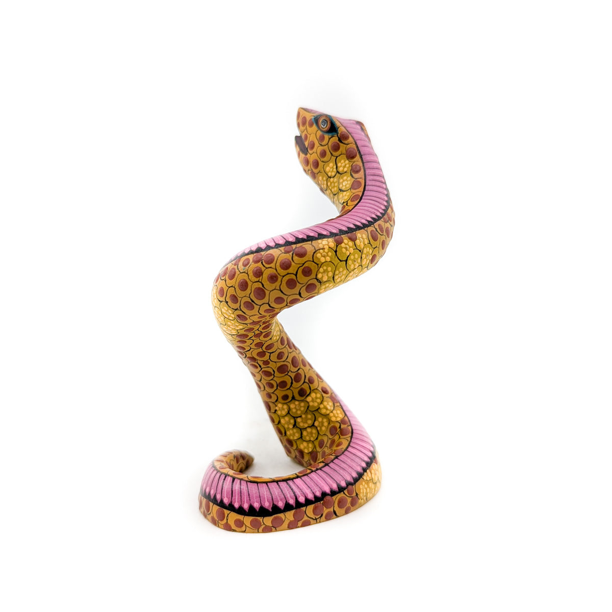 Golden Rattlesnake with Pink Accent