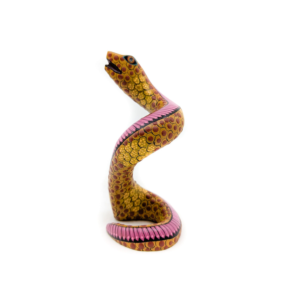 Golden Rattlesnake with Pink Accent