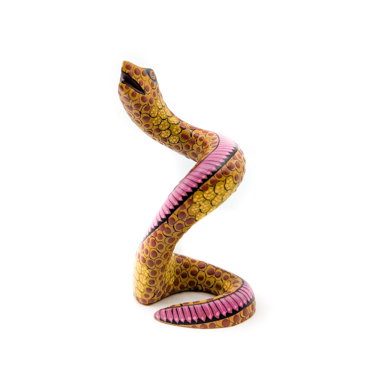 Golden Rattlesnake with Pink Accent