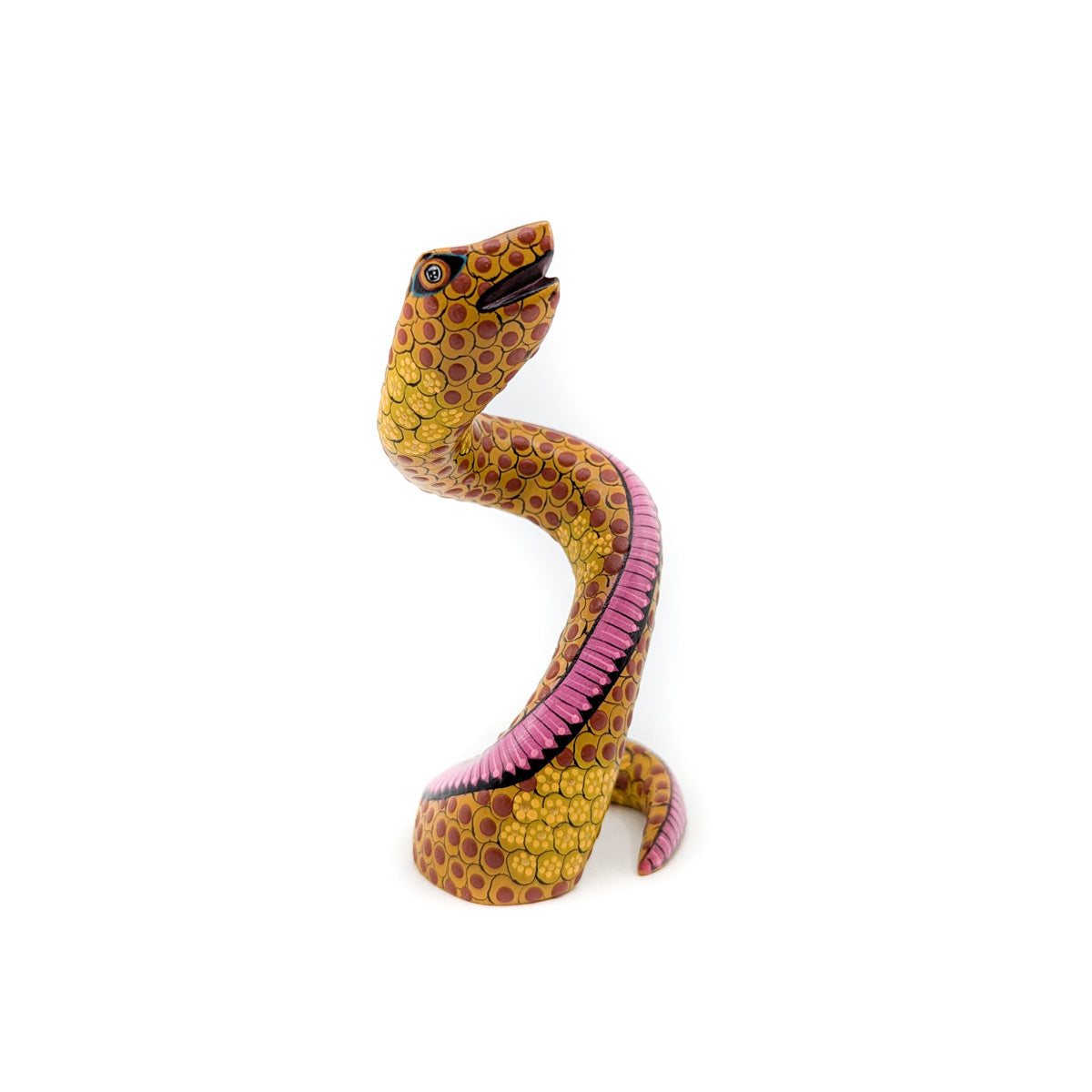 Golden Rattlesnake with Pink Accent