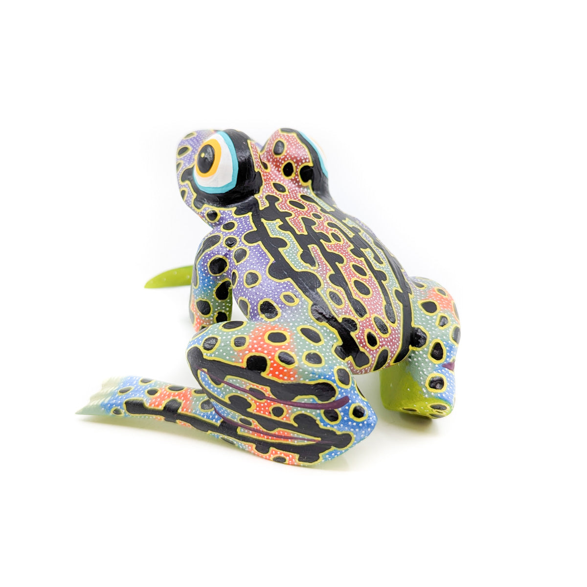 Colorful Tree Frog