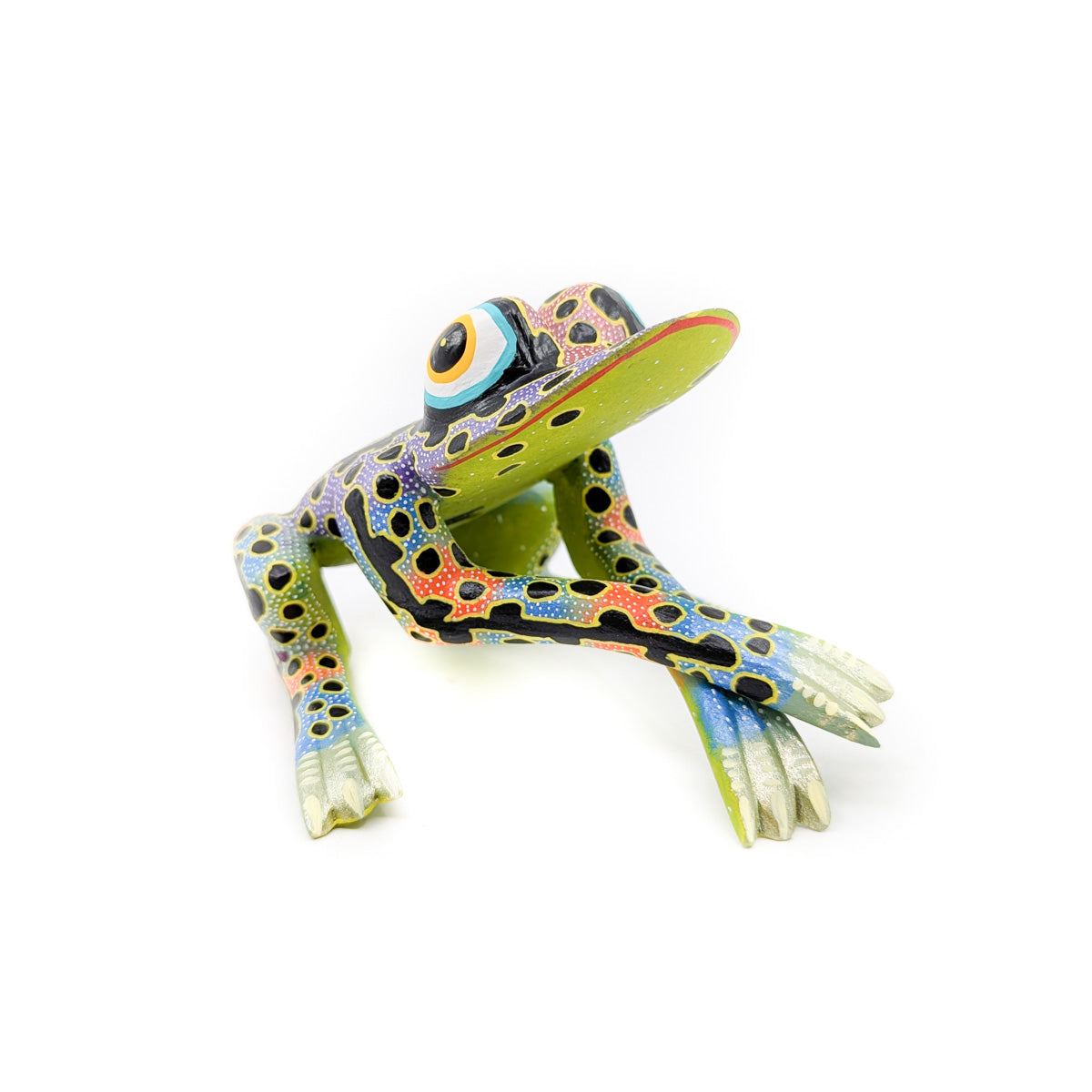 Colorful Tree Frog