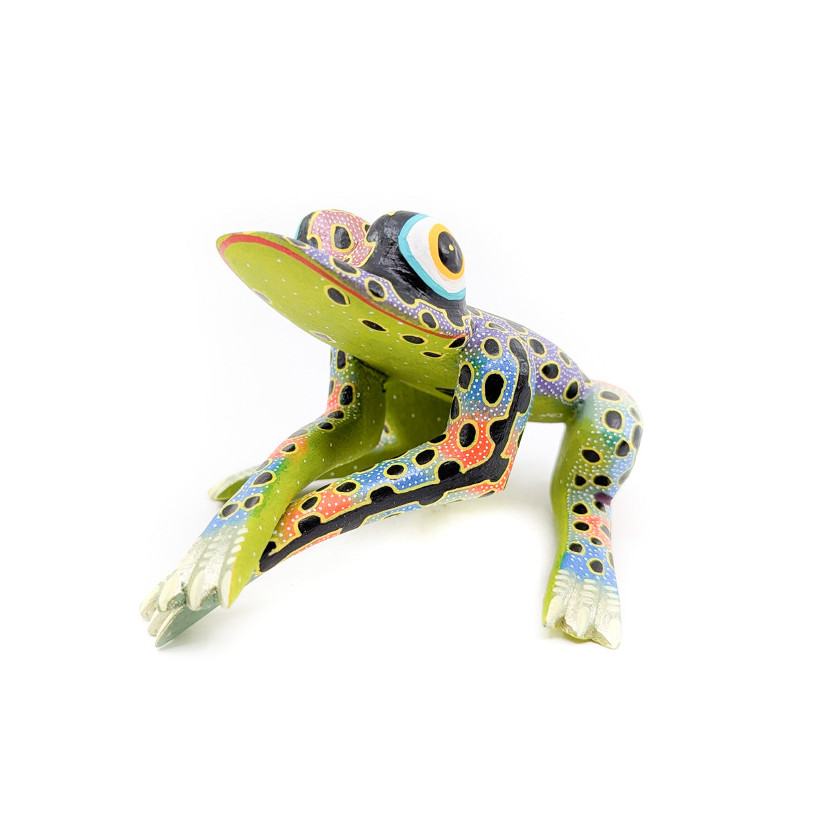 Colorful Tree Frog