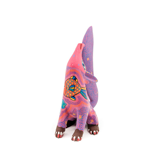Finely Painted Pink Coyote – Native-Seeds-Search