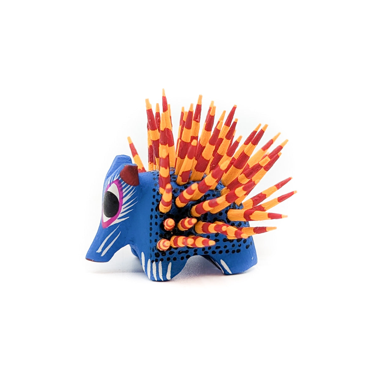 Blue Mini Porcupine with Orange and Red Quills
