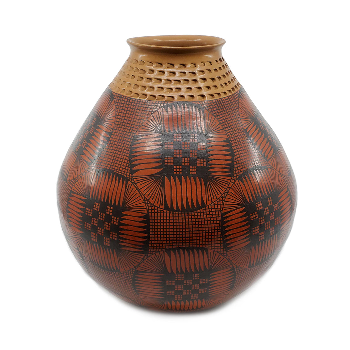 native seeds search aridadapted heirloom seeds from the southwest