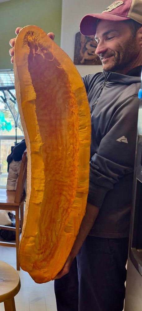 Navajo Banana Hubbard