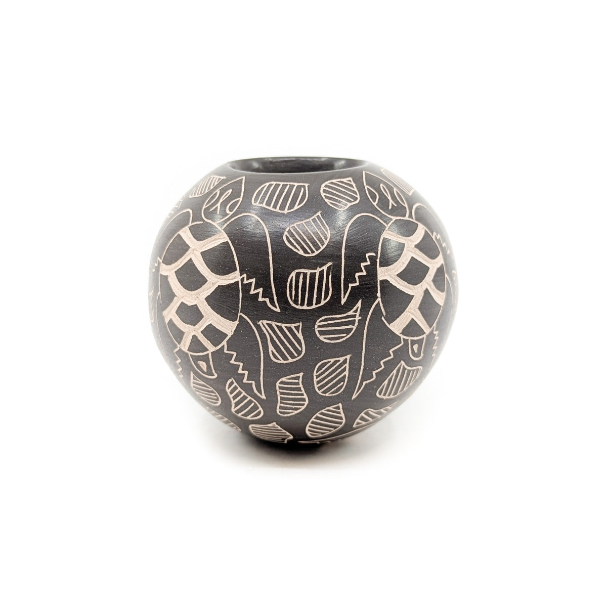 Black Sea Tortoise Mini-Seed Pot