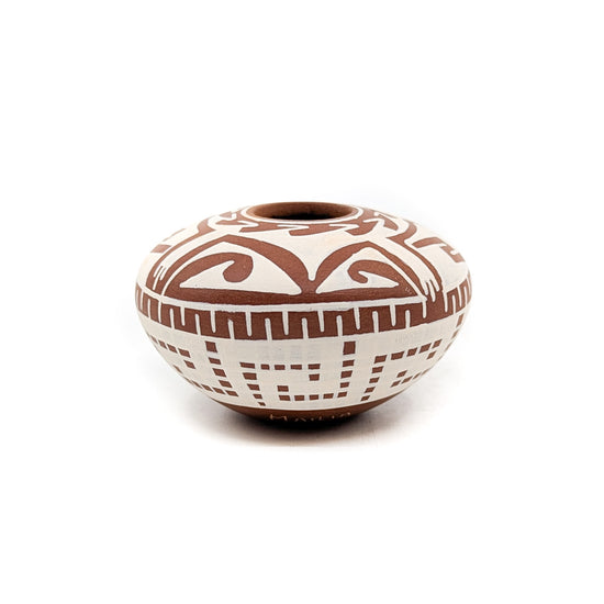 Brown and Buff Tortuga Mini-Seed Pot – Native-Seeds-Search