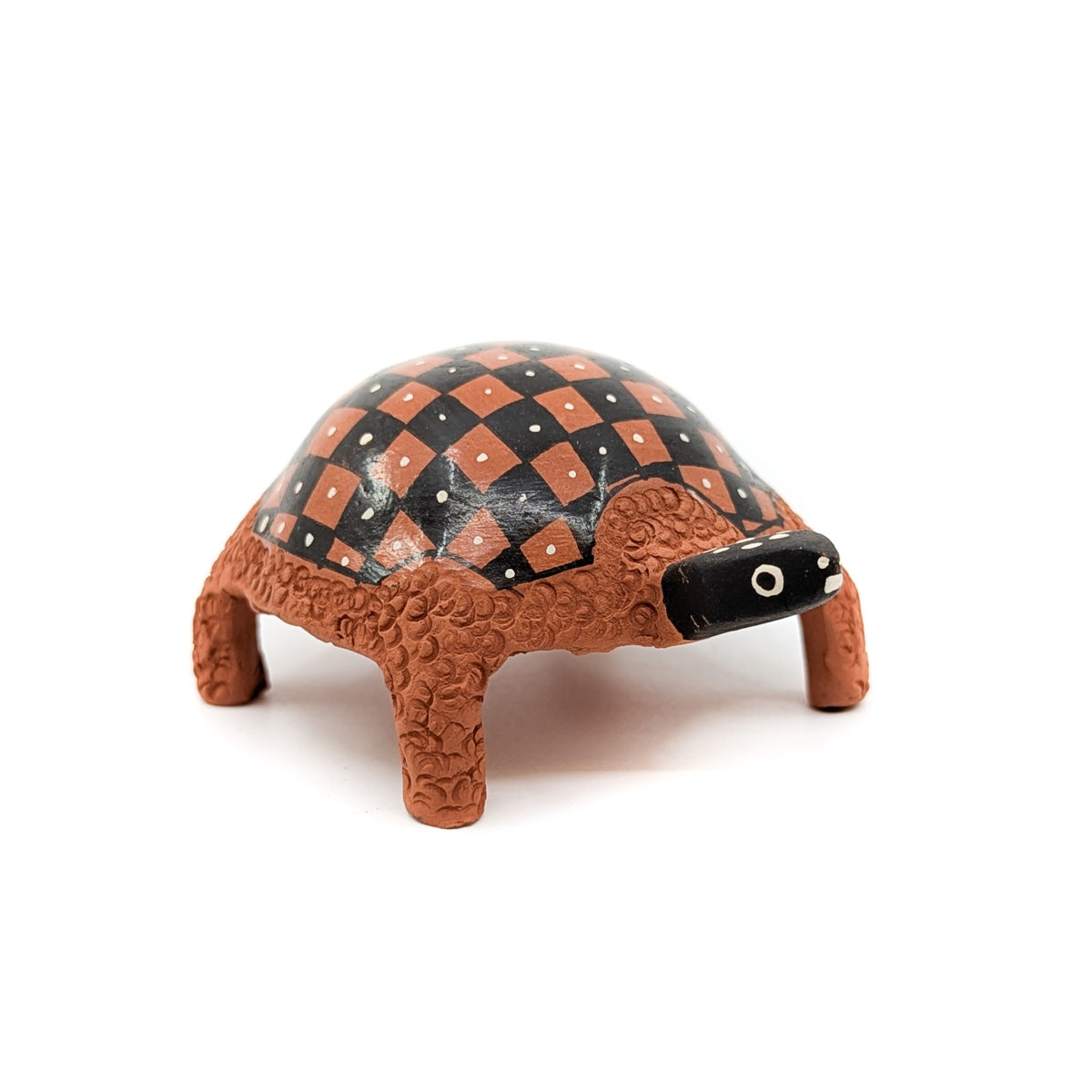 Checkerboard Tortuga