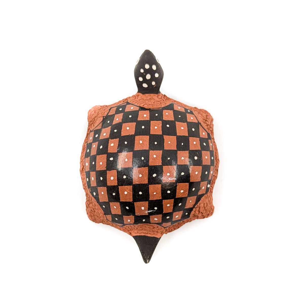 Checkerboard Tortuga