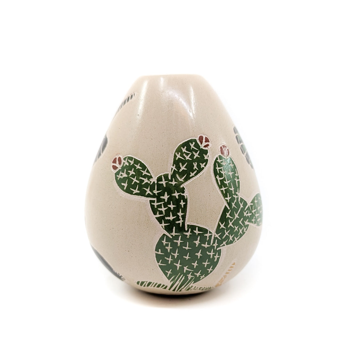 Desert Scene with Black Rabbit and Hummingbird