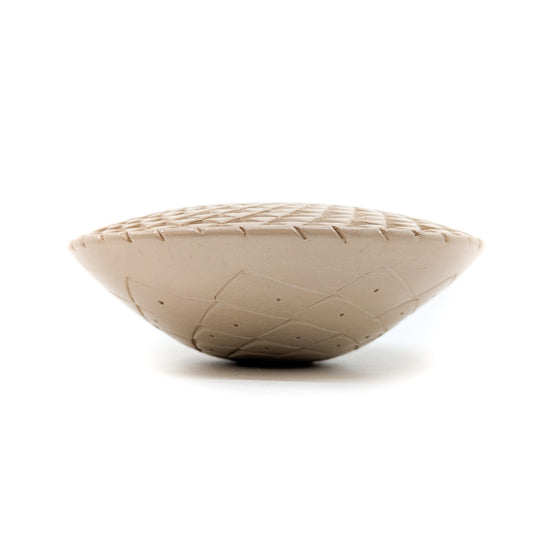 White Clay Agave Pattern Pot