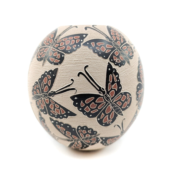 Monarch Mariposas Mata Ortiz Pot