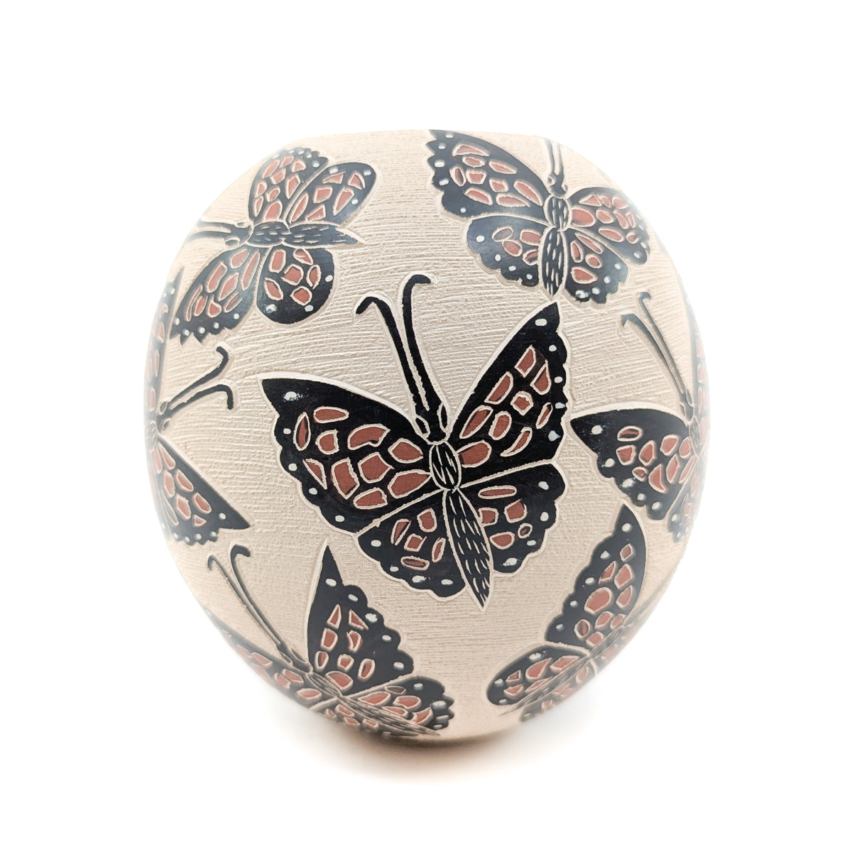 Monarch Mariposas Mata Ortiz Pot