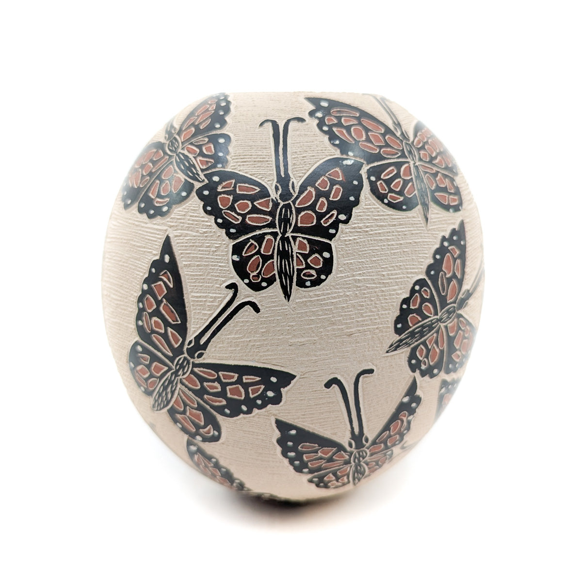 Monarch Mariposas Mata Ortiz Pot