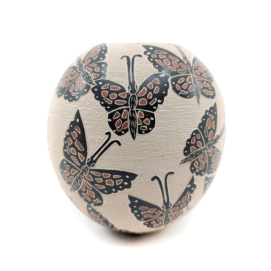 Monarch Mariposas Mata Ortiz Pot