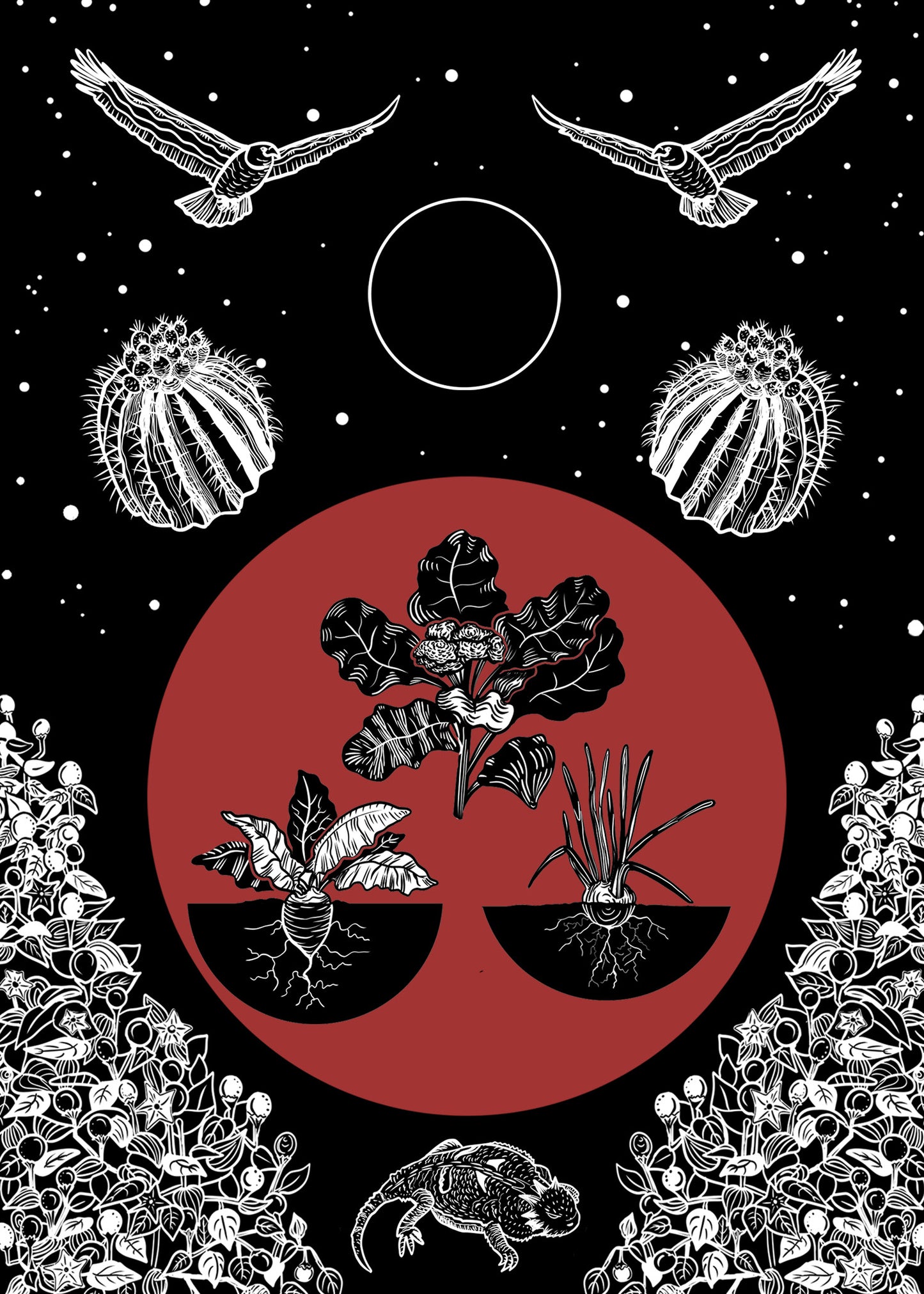 Sonoran Seasons Card Set