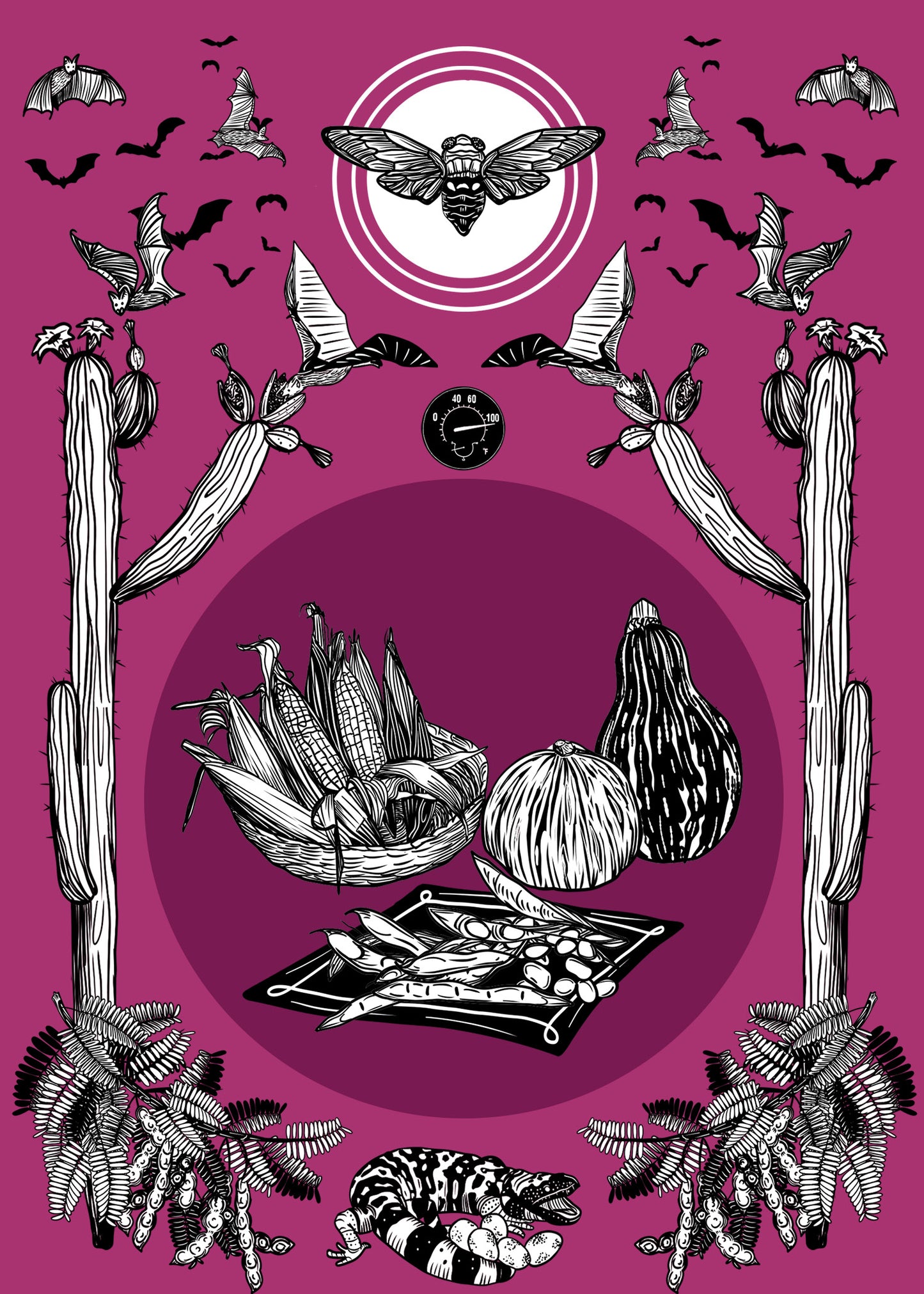 Sonoran Seasons Card Set