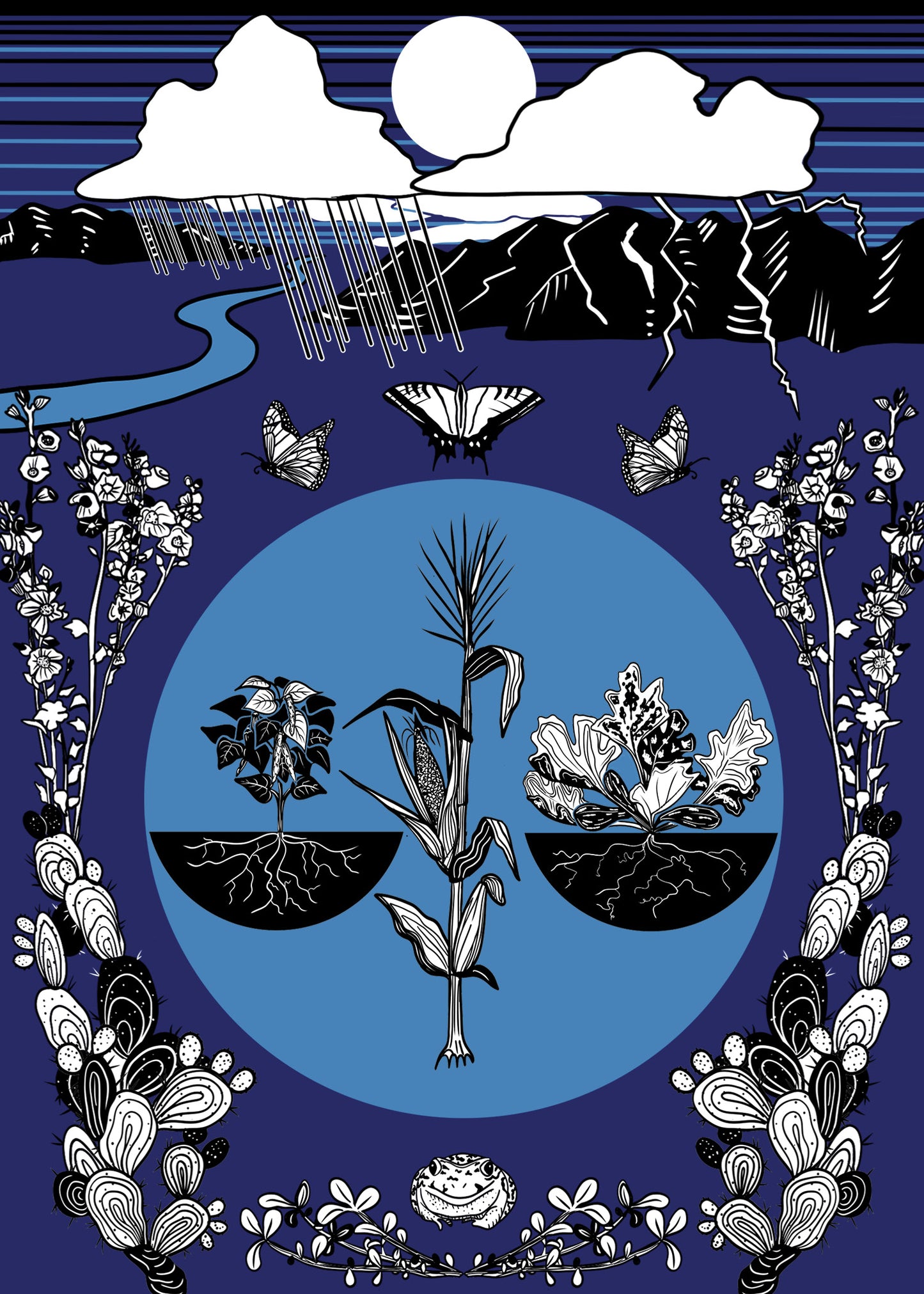 Sonoran Seasons Card Set