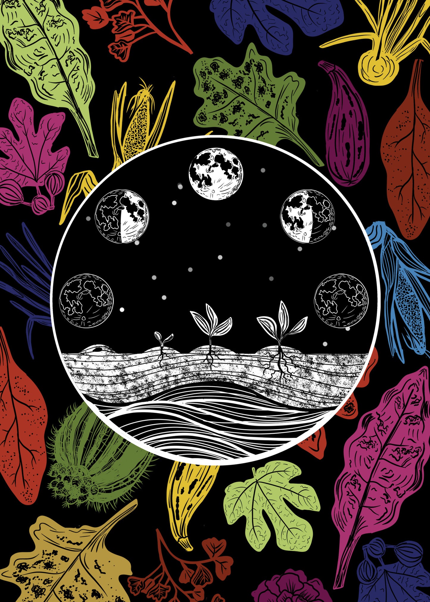 Sonoran Seasons Card Set