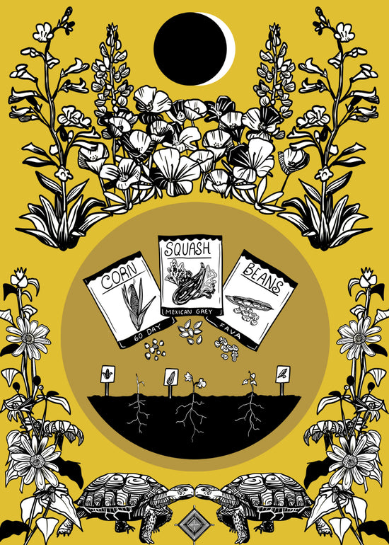 By Alexandra Jimenez, Tucson artist.  This six card set was designed to celebrate the five seasons found in the Sonoran Desert. Each card celebrates the bounty and diversity of the season with illustrations showing what is blooming in the wild and what is happening in your garden.  These Images are unified by a thematic exploration of the moon's power in planting and growing. The sixth card illustrates the moon's influence on seed germination and plant growth. A sticker of this moon illustration is included