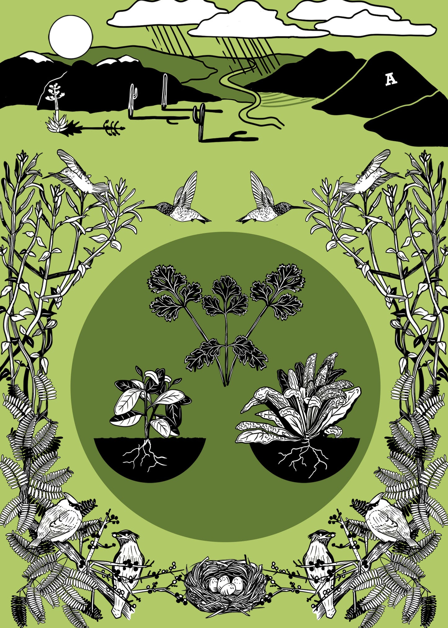 Sonoran Seasons Card Set