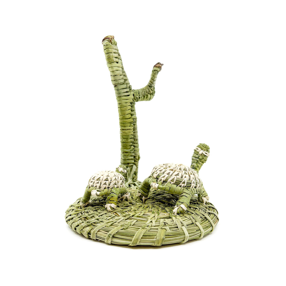 Mama and Baby Desert Tortoise with Saguaro - Basket Sculpture by Fred Cruz