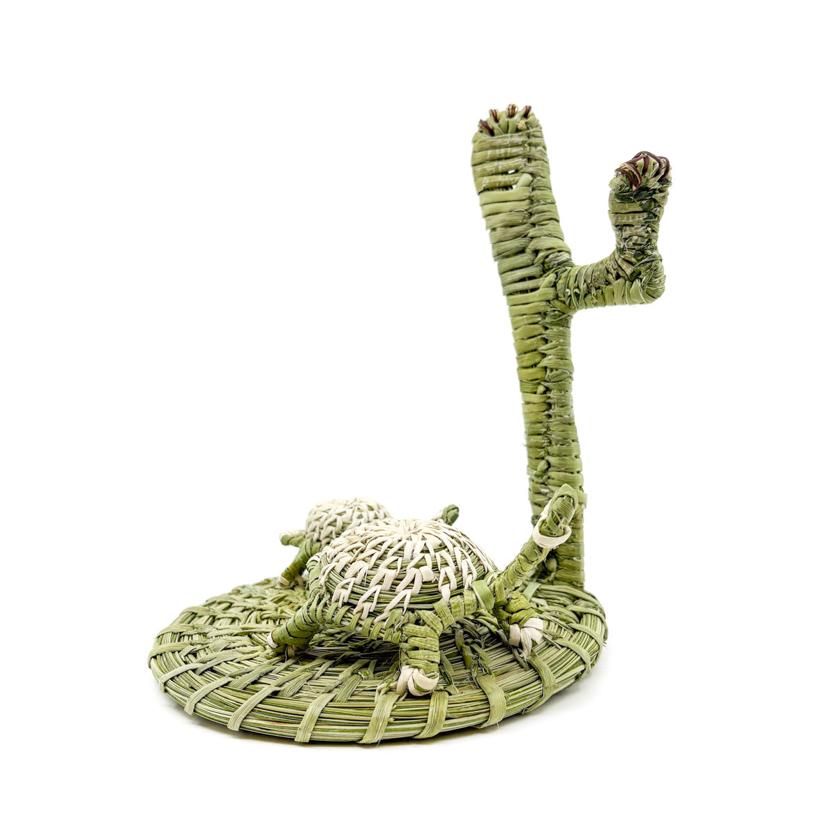 Mama and Baby Desert Tortoise with Saguaro - Basket Sculpture by Fred Cruz