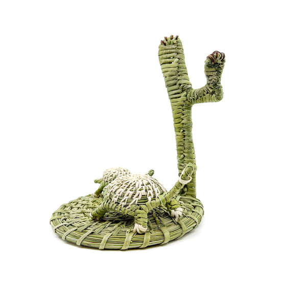 Mama and Baby Desert Tortoise with Saguaro - Basket Sculpture by Fred Cruz